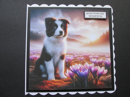 Misty Crocuse Meadow Pups 7 by BELINDA ABRAHAM
