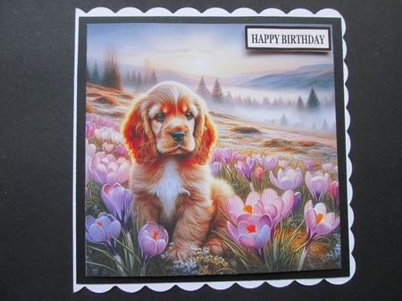 Misty Crocuse Meadow Pups 7 by BELINDA ABRAHAM