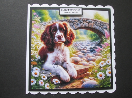 Daisy Creek Pups 1 by BELINDA ABRAHAM