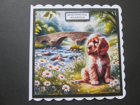 Daisy Creek Pups 3 by BELINDA ABRAHAM