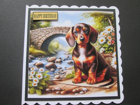Daisy Creek Pups 5 by BELINDA ABRAHAM