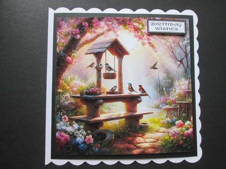 Beautiful Bird Garden  by BELINDA ABRAHAM