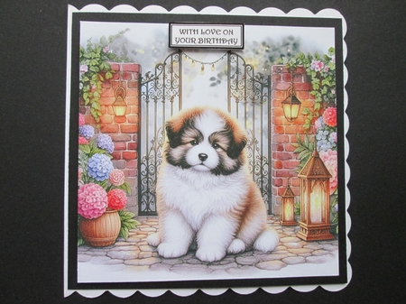 Secret Garden Gate Pups 1 by BELINDA ABRAHAM