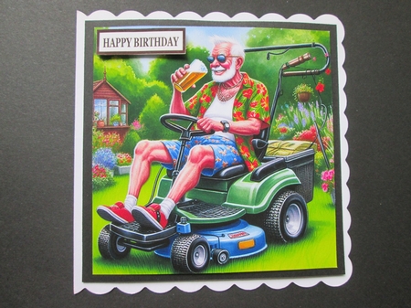 Lawnmower Man  by BELINDA ABRAHAM