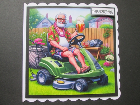 Lawnmower Man  by BELINDA ABRAHAM