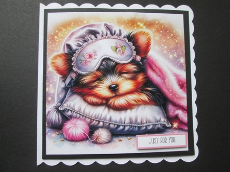 Sleepy Yorkie by BELINDA ABRAHAM