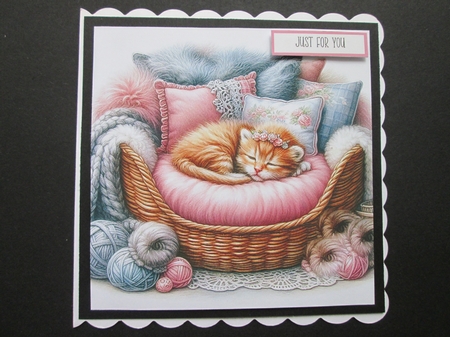Sleepy Kitten by BELINDA ABRAHAM