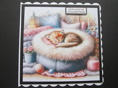 Sleepy Kitten by BELINDA ABRAHAM