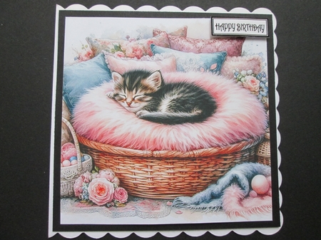 Sleepy Kitten by BELINDA ABRAHAM