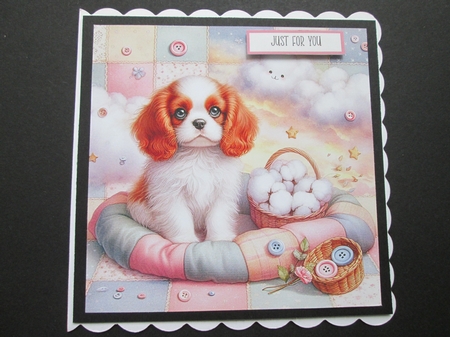 CottonFlower Pups 3 by BELINDA ABRAHAM