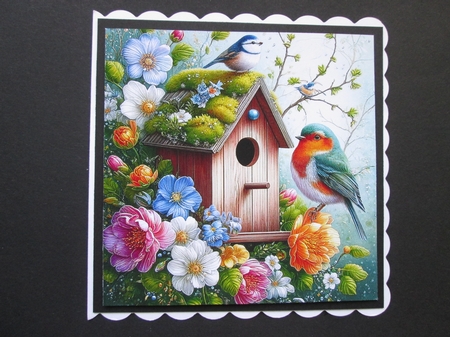 Bird Houses by BELINDA ABRAHAM