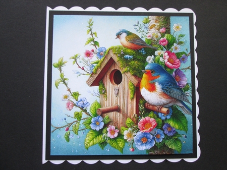 Bird Houses by BELINDA ABRAHAM