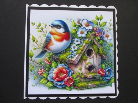 Bird Houses by BELINDA ABRAHAM