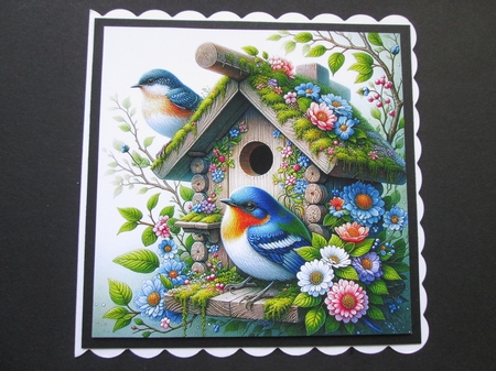 Bird Houses by BELINDA ABRAHAM