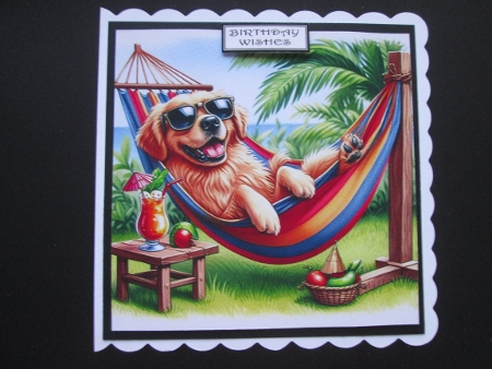 Hammock Time by BELINDA ABRAHAM