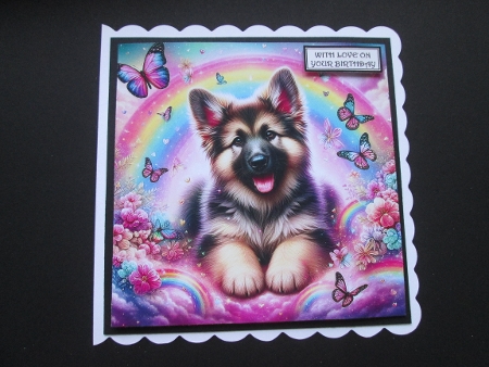 Butterfly Rainbow Pups 2 by BELINDA ABRAHAM