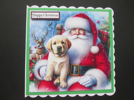 Santa Pup by BELINDA ABRAHAM