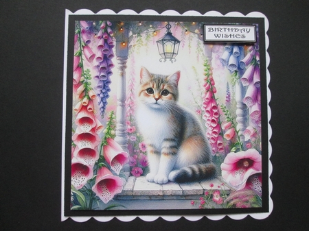 Foxglove Garden Cats 2 by BELINDA ABRAHAM