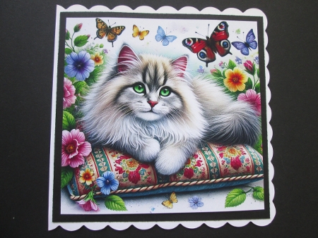 Kitties with Butterflies by BELINDA ABRAHAM