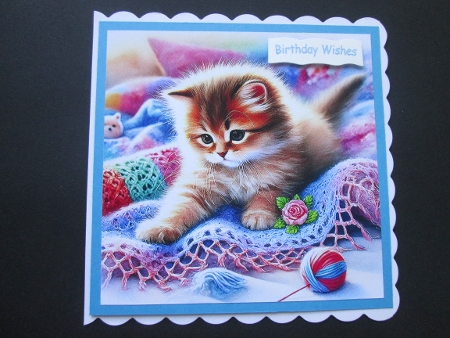 Playing Kitten on a Blanket by BELINDA ABRAHAM