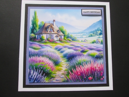 Tranquil lavender by BELINDA ABRAHAM