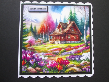 Mountain crocus fields by BELINDA ABRAHAM
