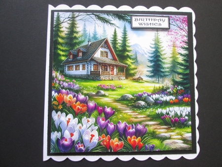 Mountain crocus fields by BELINDA ABRAHAM