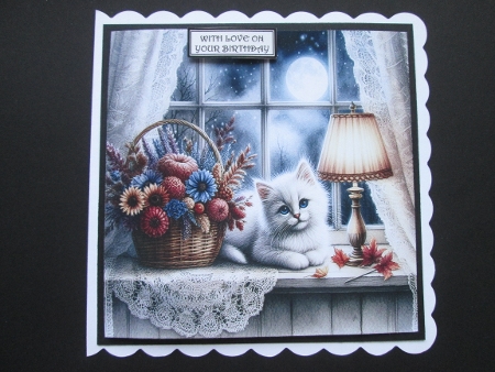 Autumn Window Cat  by BELINDA ABRAHAM