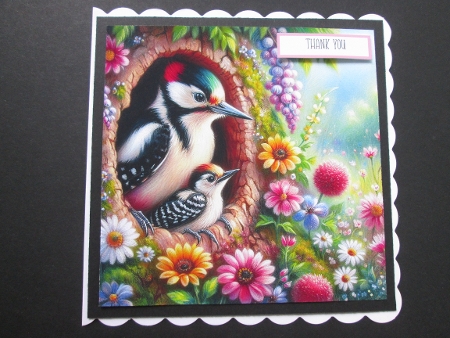 Spring : Woodpecker with Young - Illustrations for Cards by BELINDA ABRAHAM