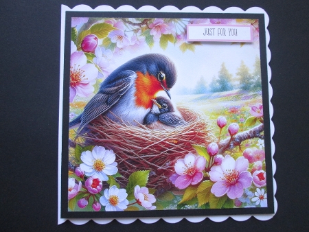 Spring: Robin with Young - Illustrations for Cards by BELINDA ABRAHAM