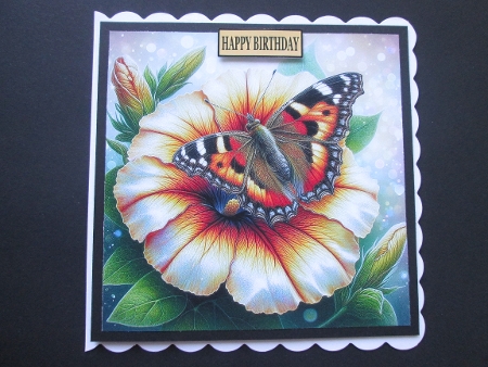 Butterfly on a Flower - Illustrations for Cards by BELINDA ABRAHAM
