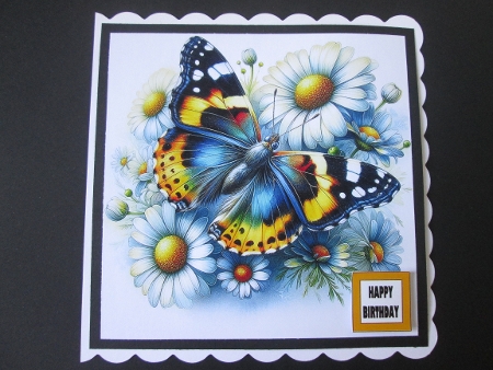 Daisies Butterfly - Illustrations for Cards by BELINDA ABRAHAM