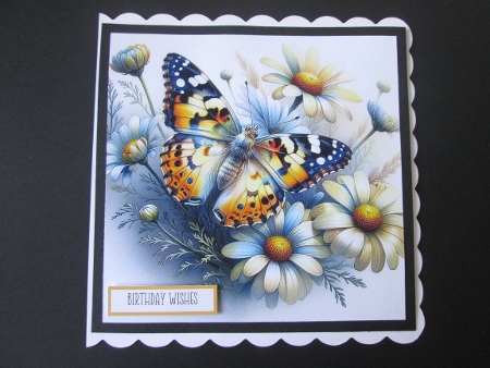 Daisies Butterfly - Illustrations for Cards by BELINDA ABRAHAM