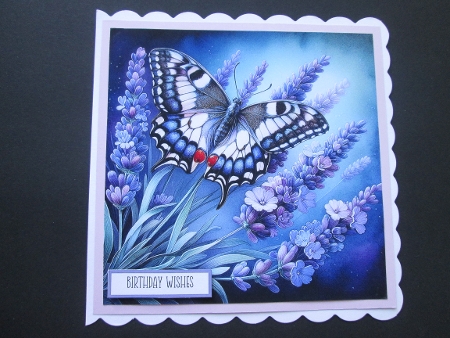 Lavender Butterfly - Illustrations for Cards by BELINDA ABRAHAM