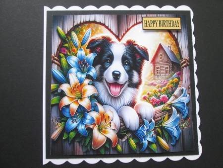 Can you see me 1 - Illustrations for Cards by BELINDA ABRAHAM
