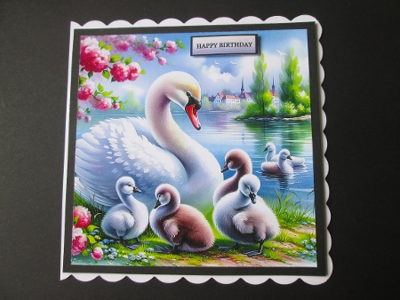 Couple Swans with Chicks - Illustrations for Cards by BELINDA ABRAHAM