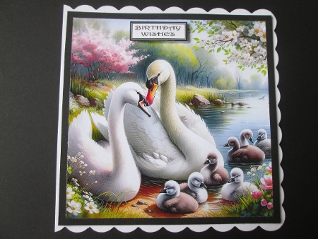 Couple Swans with Chicks - Illustrations for Cards by BELINDA ABRAHAM