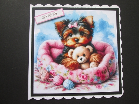 Sweet Yorkie by BELINDA ABRAHAM