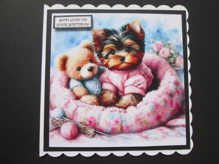 Sweet Yorkie by BELINDA ABRAHAM