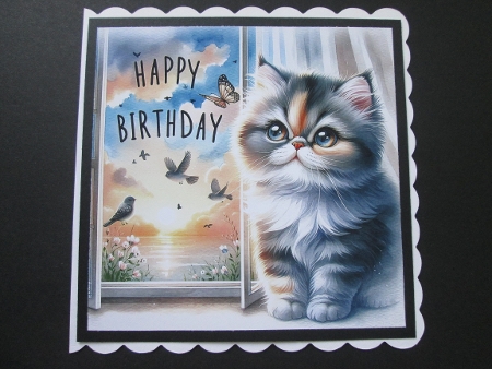 Birthday Persian Kitten - Illustrations for Cards & Designers by BELINDA ABRAHAM