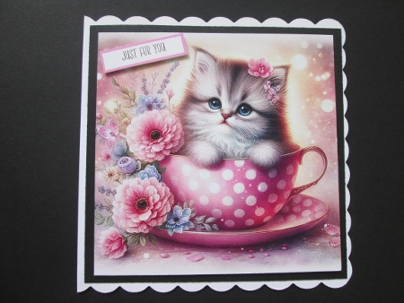 Teacup  Kitten  by BELINDA ABRAHAM