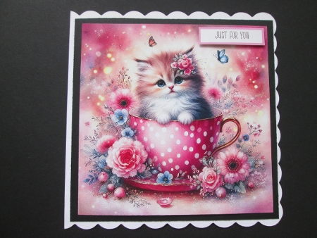 Teacup  Kitten  by BELINDA ABRAHAM