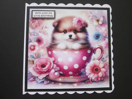 Teacup  Pups by BELINDA ABRAHAM