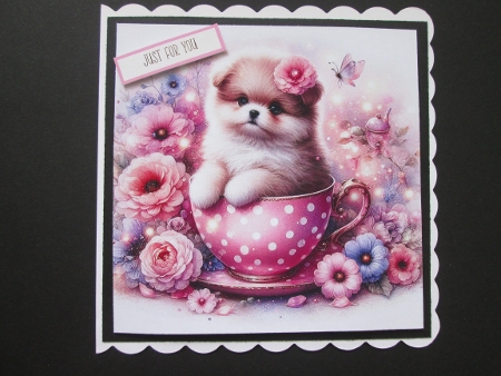 Teacup  Pups by BELINDA ABRAHAM