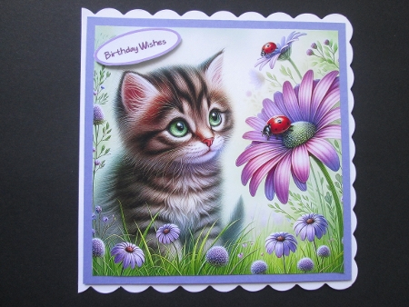 Cute Tabby Kitten - Illustrations for Cards, Mini kits & Designers by BELINDA ABRAHAM