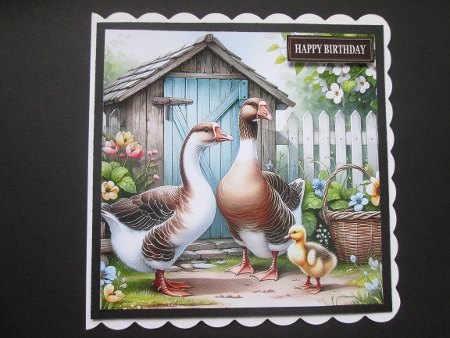 Geese Coop - Illustrations for Cards, Mini kits & Designers by BELINDA ABRAHAM