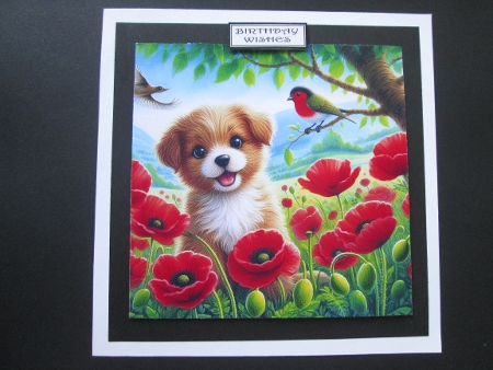 20+poppies puppies and kittens by BELINDA ABRAHAM