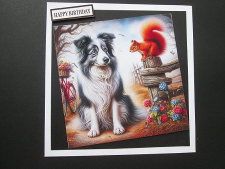20+  assorted dogs meet a red squirrell by BELINDA ABRAHAM