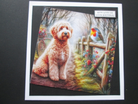 20+  assorted dogs meet a red squirrell by BELINDA ABRAHAM