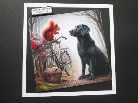 20+  assorted dogs meet a red squirrell by BELINDA ABRAHAM